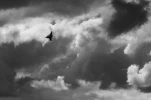 avions Bleves (1 sur 3)