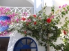DSC03708